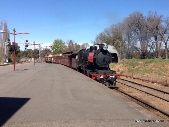 The steam train coming into castlemaine station on the Goldfield railway