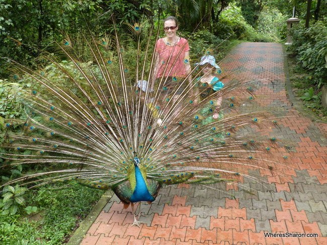 kl bird park