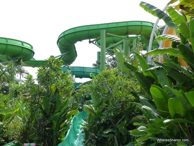 waterbom bali water slides