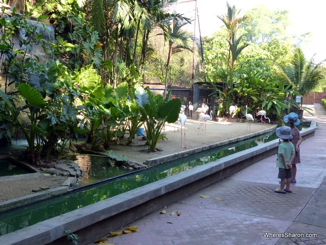 penang bird park