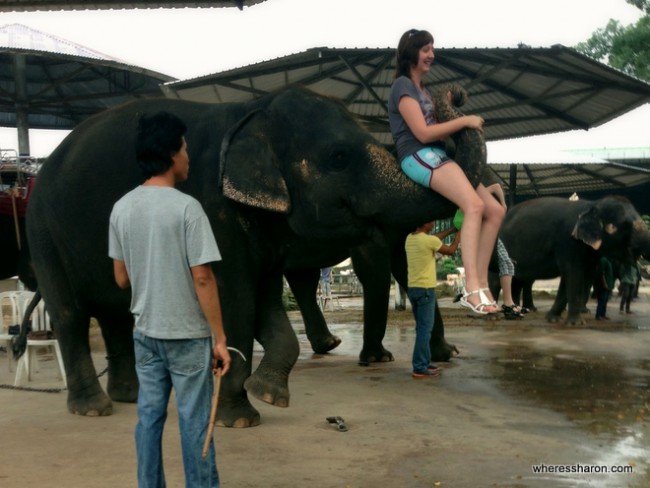 pattaya where to go at The Million Years Stone Park and Pattaya Crocodile Farm