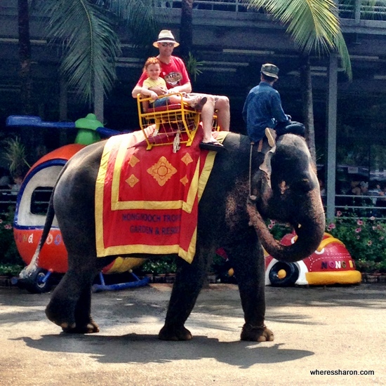 things to do in pattaya for families