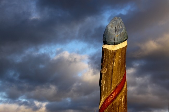 Iceland's Phallus Museum, Iceland