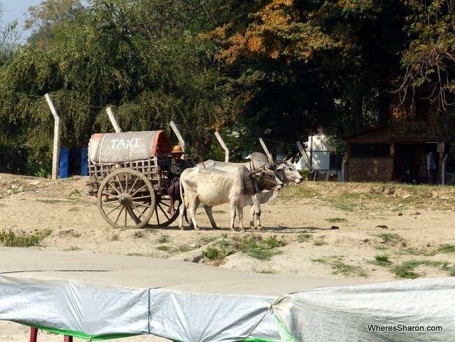 mandalay horse and cart