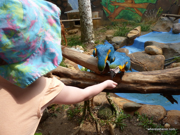 langkawi wildlife park