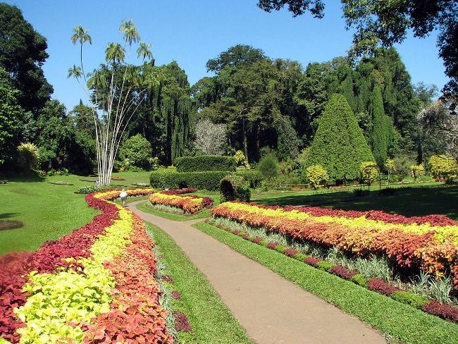 Botanical Garden of Peradeniya 03