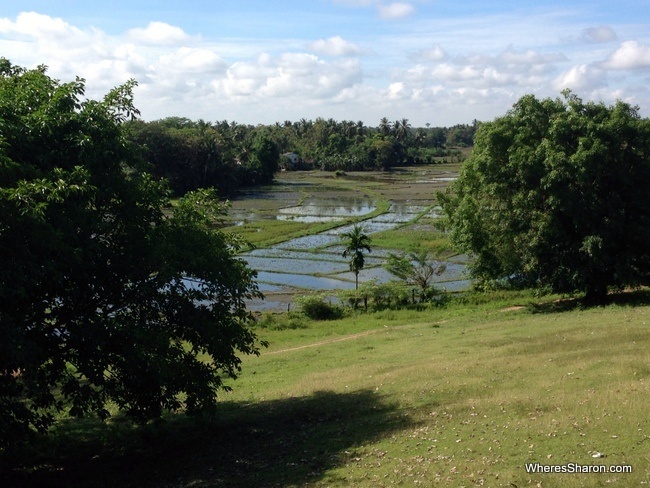 The area around our guest house from the tank