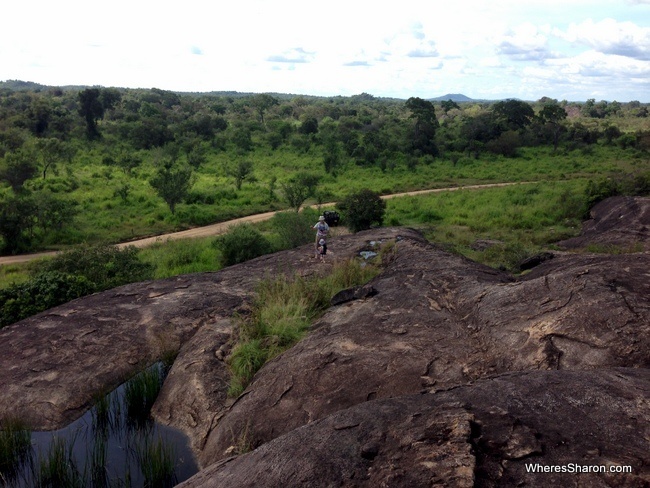 Minneriya National Park