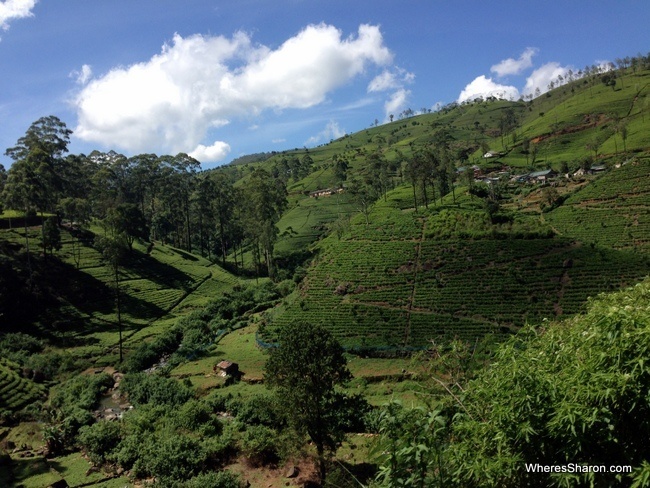 The scenery on the bus ride from Kandy to Nuwara Eliya