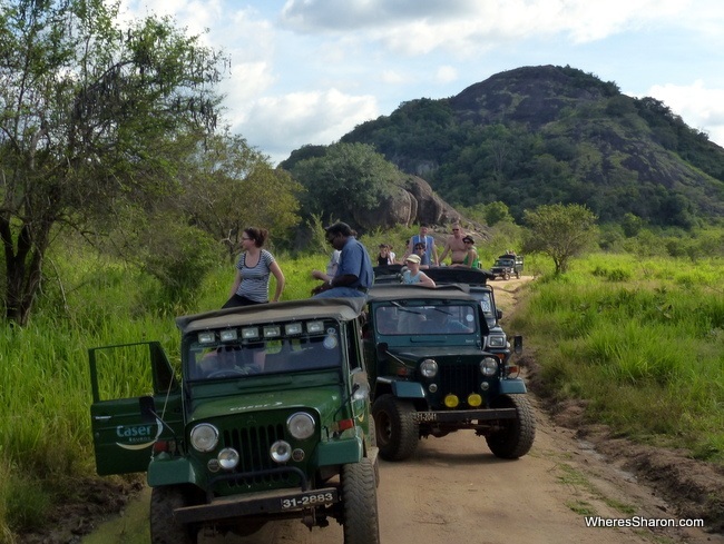 elephants and tourists at Minneriya National Park