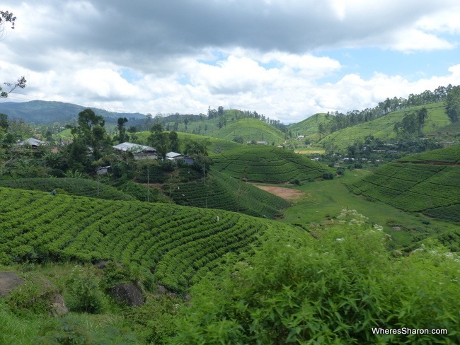 The scenery on the train ride from Kandy to Nuwara Eliya