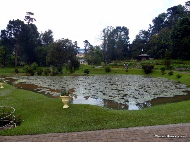 things to do in nuwara eliya Victoria Park