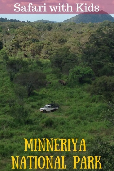 Safari with Kids minneriya national park