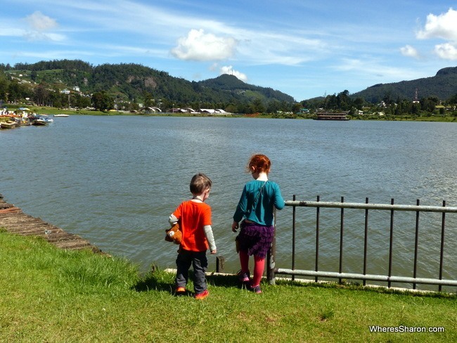 Throwing rocks into Gregory Lake