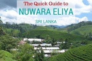 sri lanka family travel blog