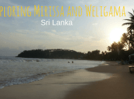 Exploring the south coast of Sri Lanka – Mirissa and Weligama