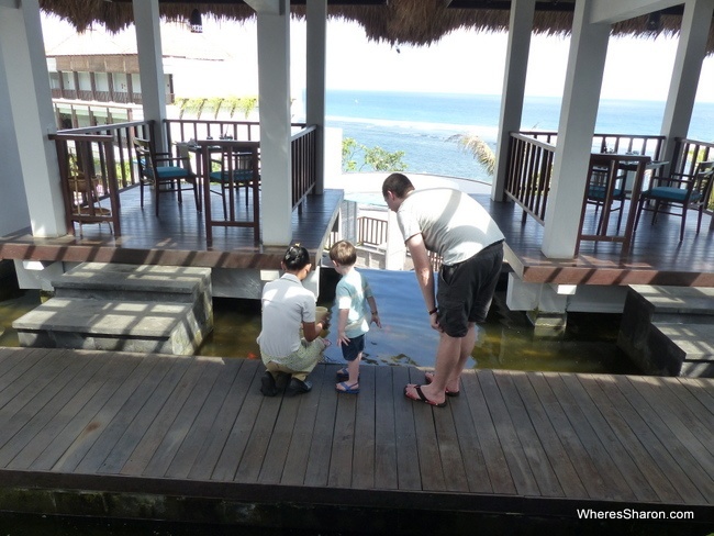 waitress at the samabe bali