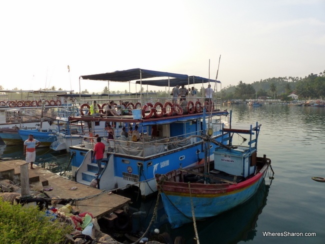 our boat on a whale expedition in Mirissa, Sri Lanka