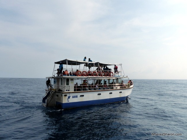 whale expedition boat in Mirissa Sri Lanka