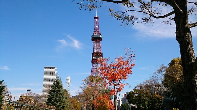 One of Sapporo's key landmarks (and attractions), the Sapporo TV Tower