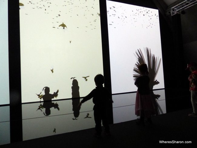 birds at the National Museum of Science and Technology