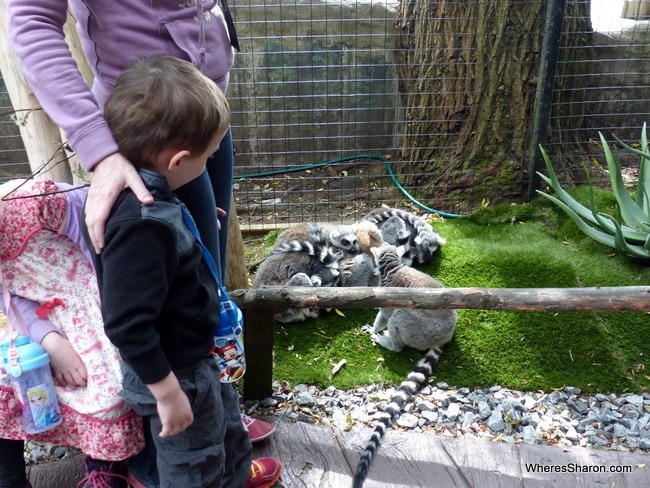 Skansen's Aquarium Stockholm