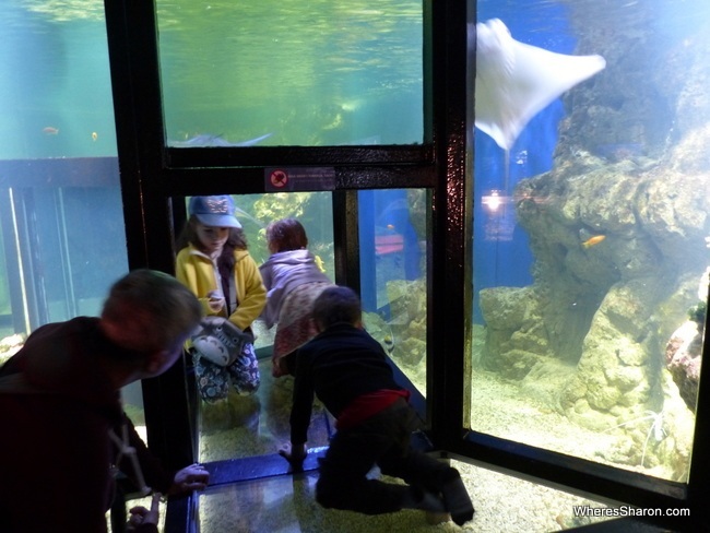 Aquaria Water Museum STockholm