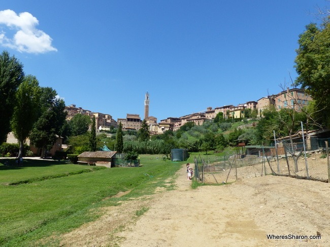 Orto de' Pecci in Siena things to do