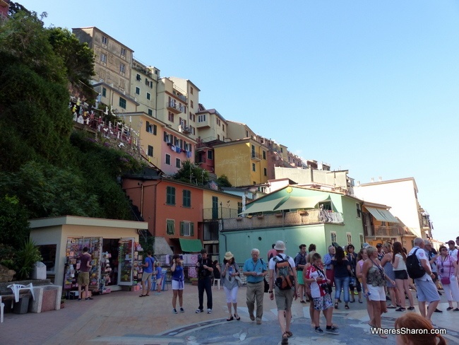 Manarola