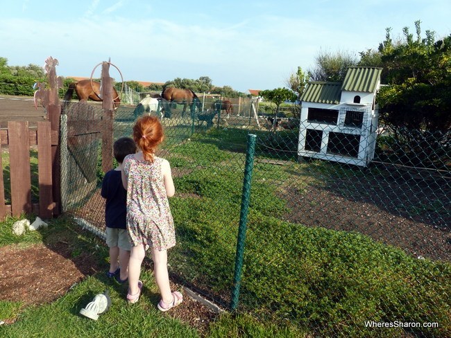 petting zoo at Falkensteiner Family Hotel Diadora