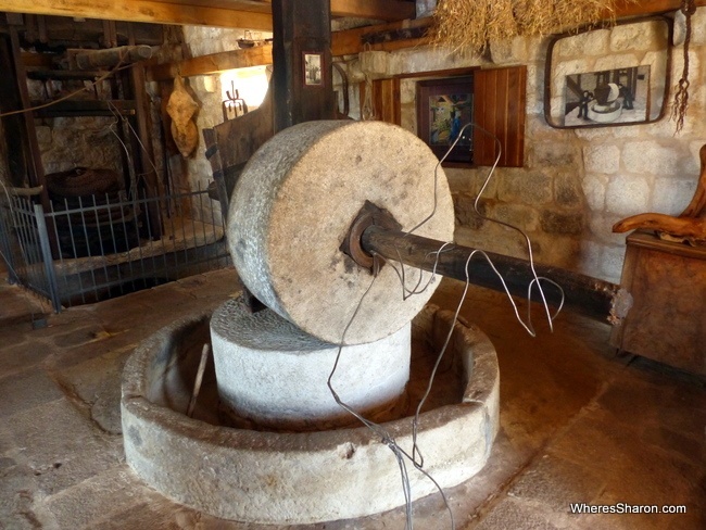 things to do in brac visit olive oil museum