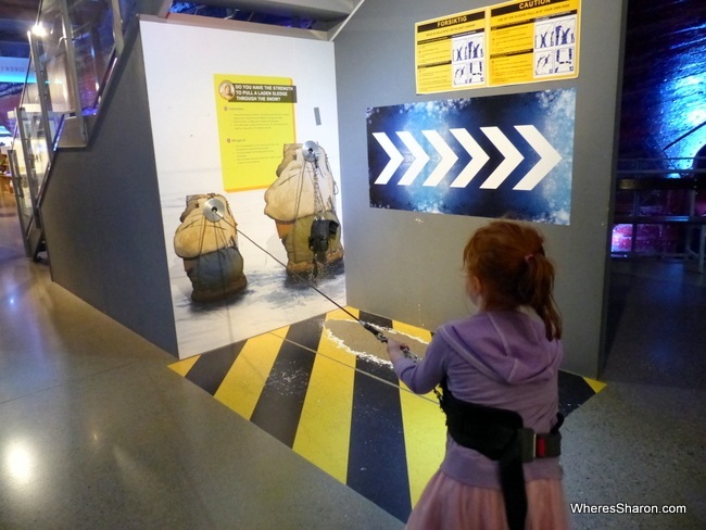 S tries out pulling a simulated 150kg sled through the snow at the Fram Museum. 