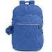 Kipling Seoul Large Backpack