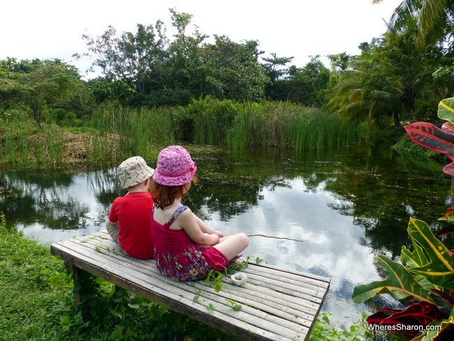 bohol with kids fishing in Loboc