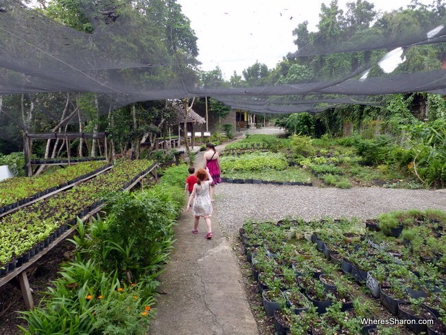 Bohol Bee Farm