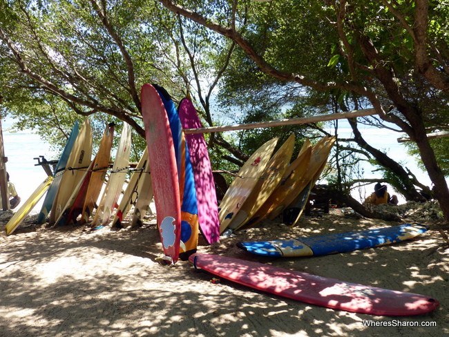 The surfboards at Surf Bar Gili Trawangan