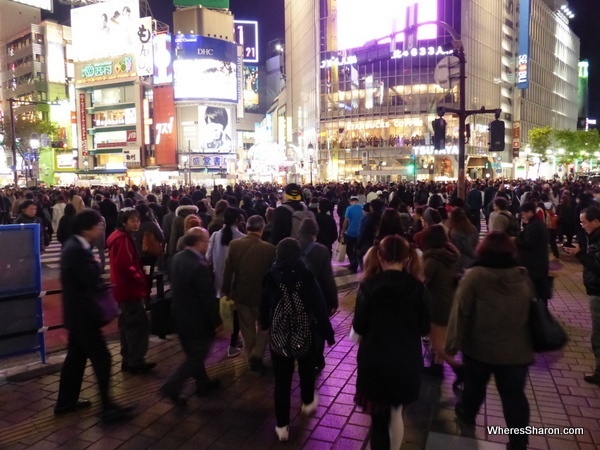The famous Shibuya Crossing at night. 