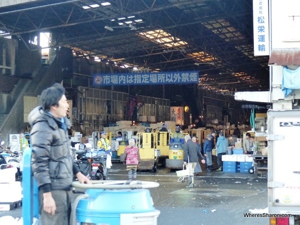 The Tsujiki Fish Markets. A very bustling place.