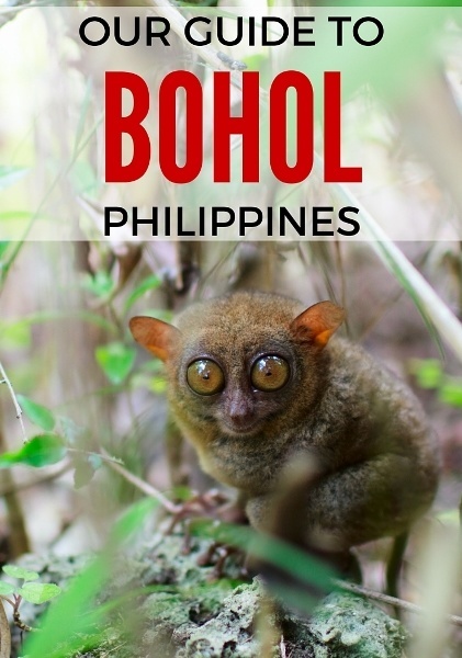 things to do in bohol