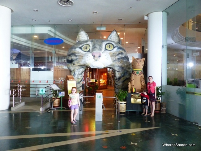 Cat Museum kuching to do