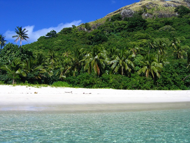 Best Family Resorts in Fiji Beach Palm Trees