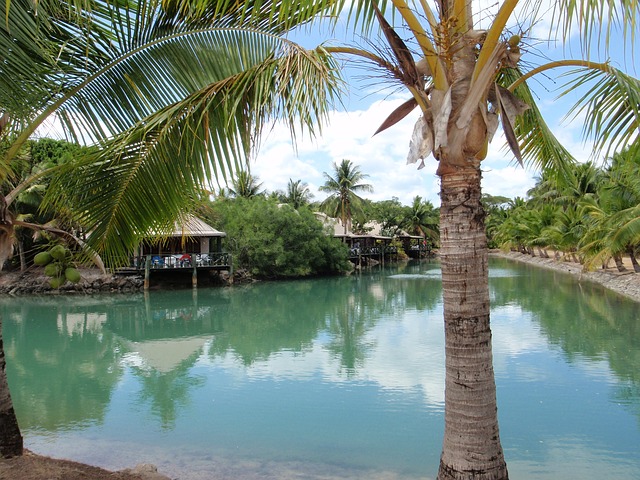 Best Family Resorts in Fiji Palm Tree