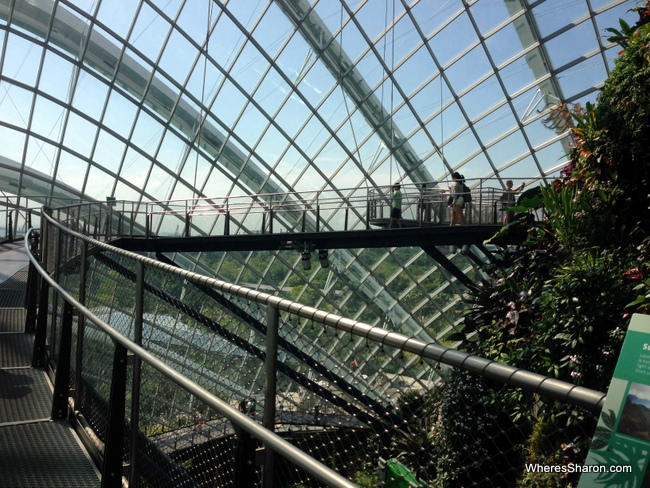 things to do in singapore for children at Gardens on the Bay