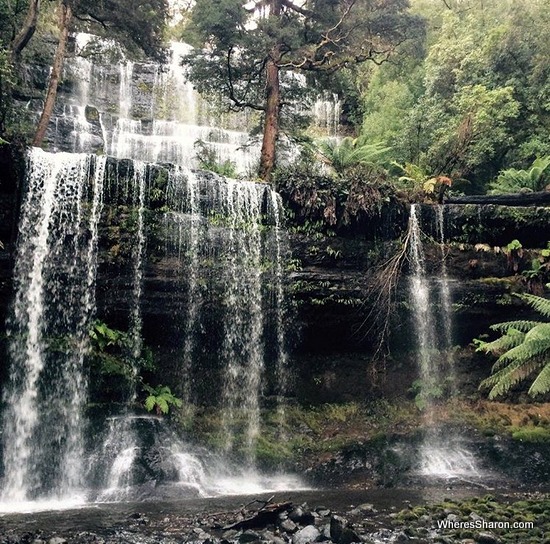 mt field national park