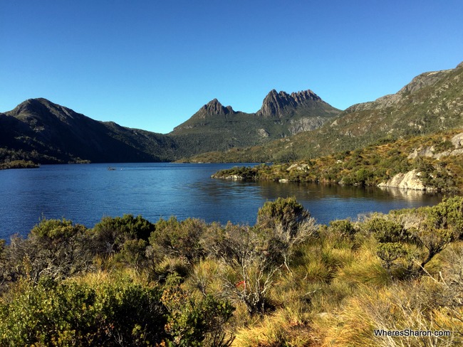 Top 25 Things to see in Tasmania: The Ultimate Bucket List! - Family