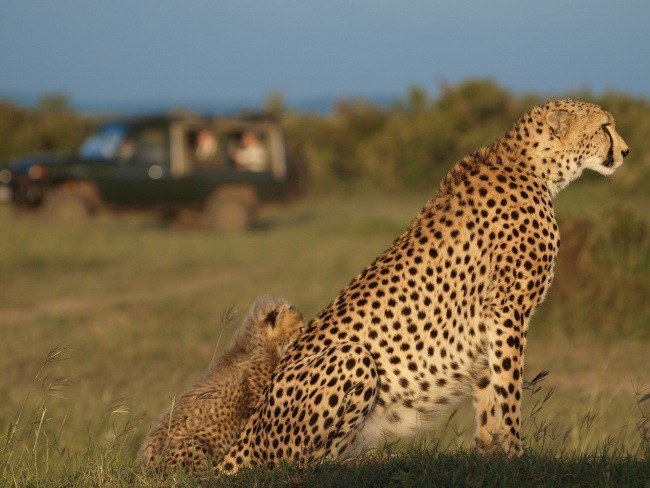 Kenya with kids