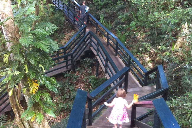 Kula Eco Park – The boardwalk is an easy and shady wander through the forest