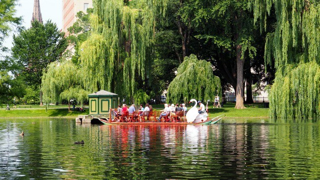 kid friendly things to do in boston at Boston Public Gardens