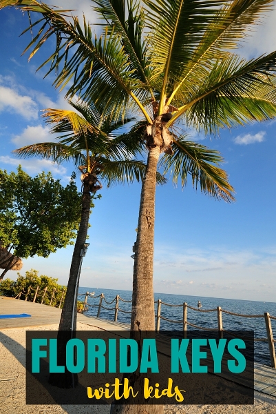 things to do with kids in the florida keys pin