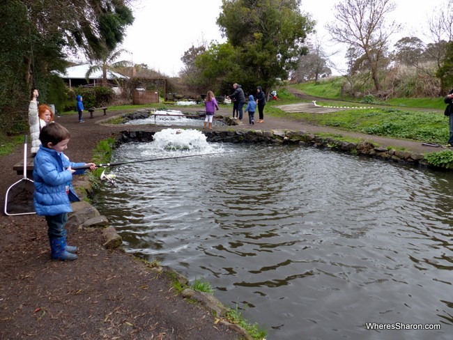 ballarat things to do for kids at Tuki Trout Farm